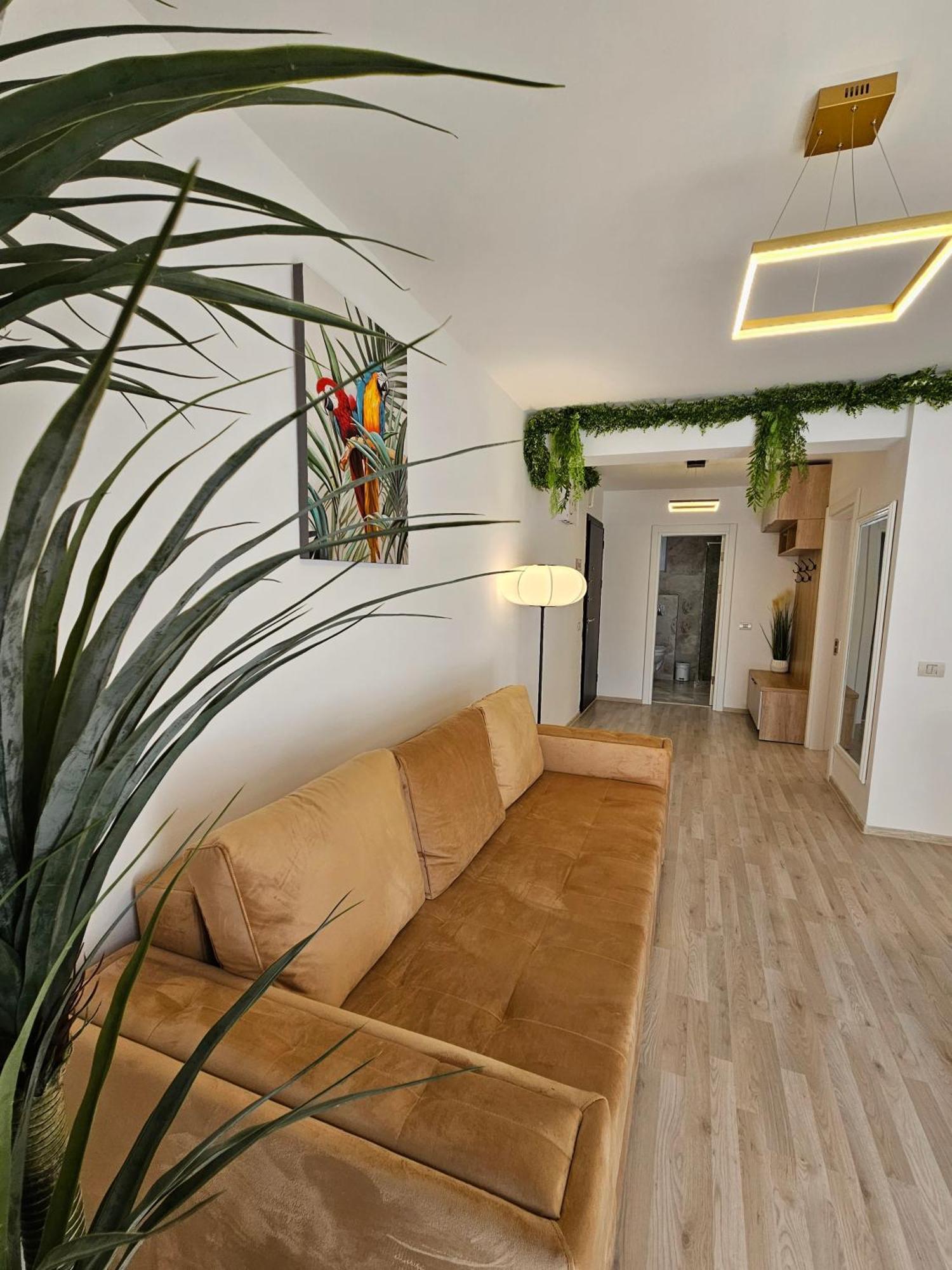 Năvodari Bali Del Mar Apartments מראה חיצוני תמונה